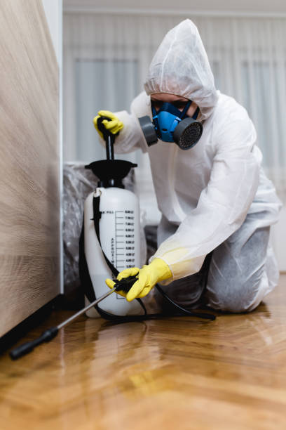 Best Bed Bug Extermination  in Dalworthington Gardens, TX